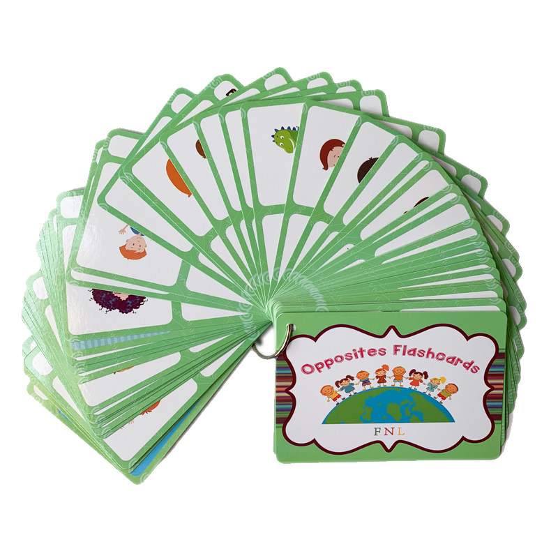 Kids Educational Gadget - 100 cartes mémoire sur les groupes