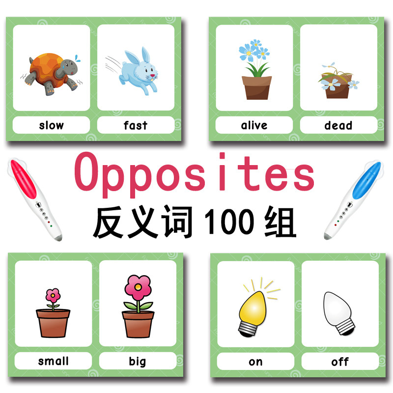 100 cartes mémoire sur les gro - Kids Educational Gadget avis et prix