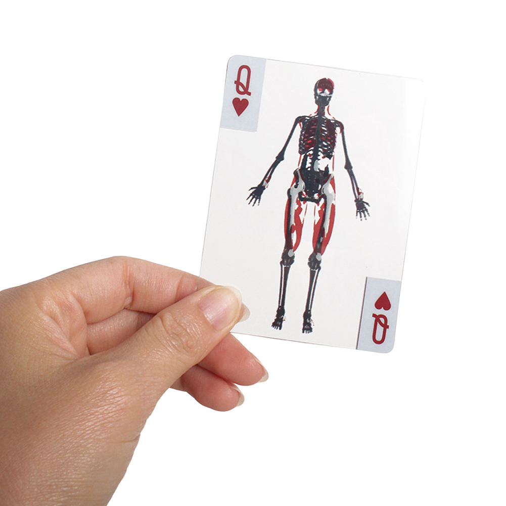 Cartes éducatives 3D, cartes à - Kids Education Images avis et prix