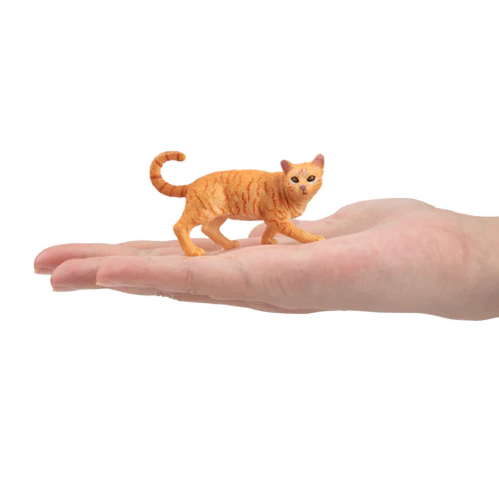 Toymany Simulation striding Or - Kids Educational Device avis et prix